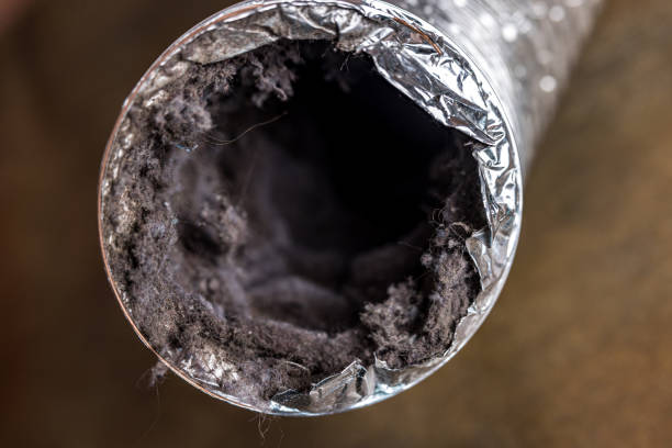 Best HVAC System Cleaning  in Jefferson, NC